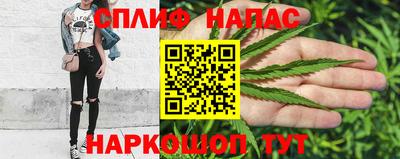 шишки Гусиноозёрск