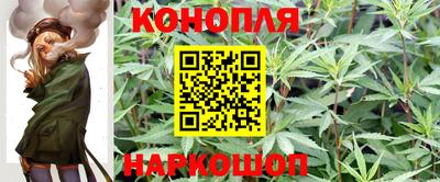 шишки Гусиноозёрск