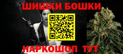 шишки Гусиноозёрск