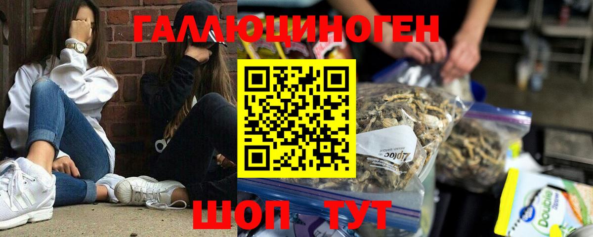 Жуковский  Псилоцибиновые грибы мухоморы  Вход с VPN 